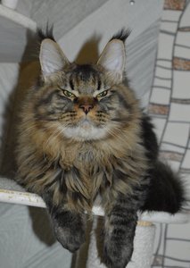 Oskar